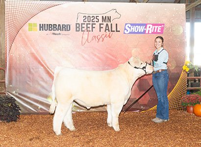 Champion Charolais Prospect Steer- Ring A & Ring B
2025 Minnesota Beef Fall Classic