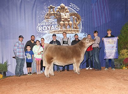 Champion Division I Market Steer
2025 American Royal