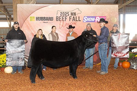 Champion Market Heifer- Ring B
2025 Minnesota Beef Fall Classic