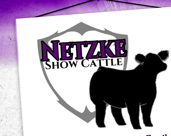 Netzke Show Cattle