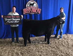 Netzke Show Cattle Winners