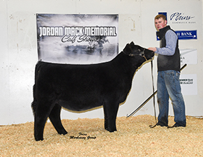Netzke Show Cattle Winners
