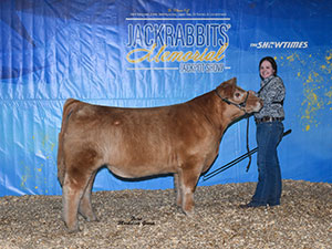 Netzke Show Cattle Winners