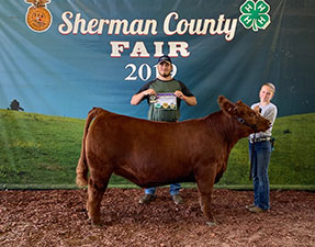 Netzke Show Cattle Winners