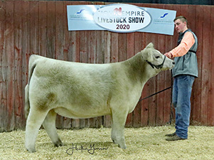 Netzke Show Cattle Winners