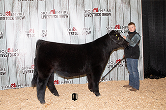 Netzke Cattle Co. Winners