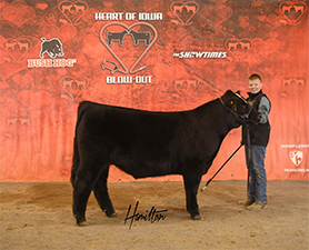 Netzke Cattle Co. Winners