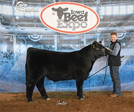 Netzke Cattle Co. Winners