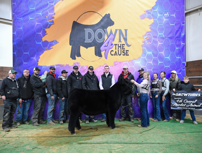 4th Overall Market Animal - Ring 1
Champion Maine-Anjou Steer - Ring 1 & Ring 2
2023 Down 4 The Cause
