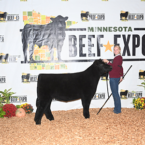 Reserve Champion AOB Steer
2023 Minnesota Beef Expo