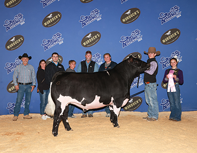 Fourth Place Middleweight Maine-Anjou Steer
2024 San Antonio Stock Show & Rodeo